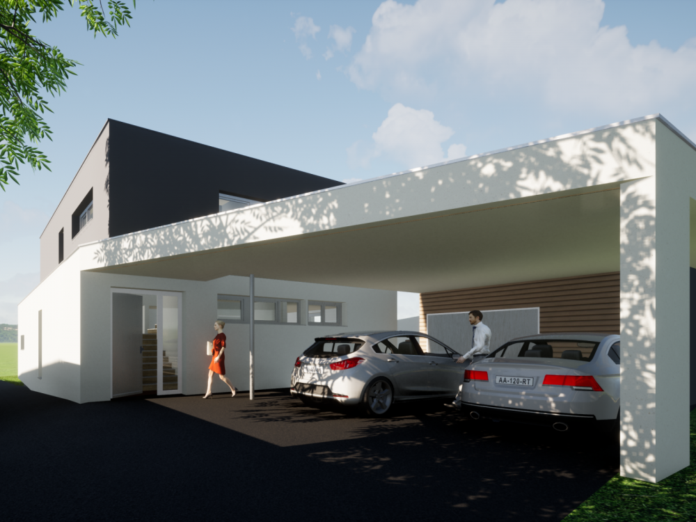 Einfamilienhaus P
